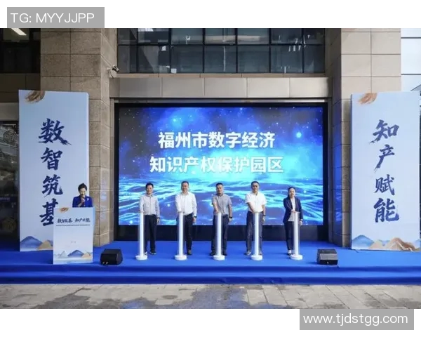 知识产权保护在数字经济时代的挑战与创新路径探索